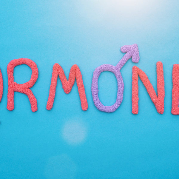 hormone replacement therapy types