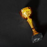 Best Bodybuilding Awards Providers (2025 Guide)